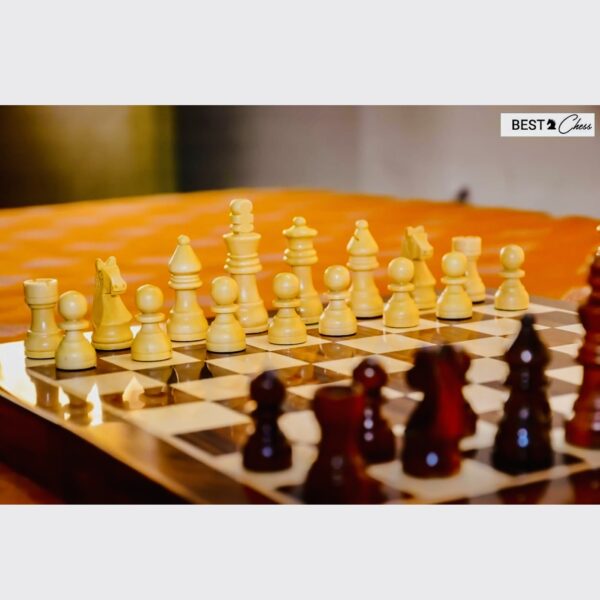 Zoyis Wooden Folding Chess Set 2 Players