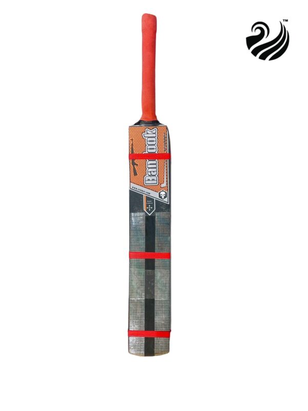Zoyis cricket bat full size